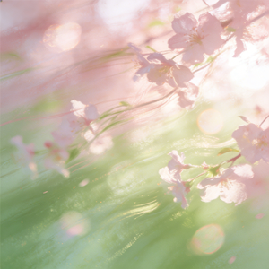 等春暖花开的时候在见面