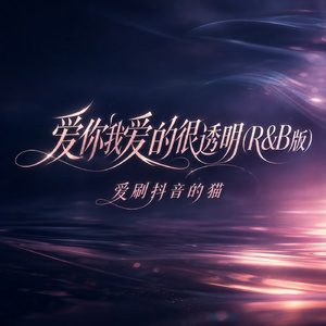 爱你我爱的很透明(R&B版)