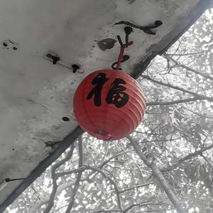 那年我十五岁