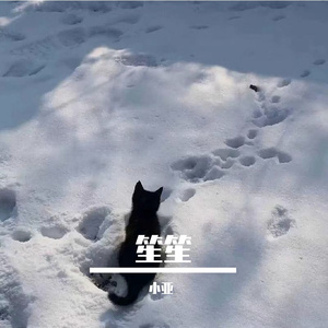 梦幻夜空的雀跃星光