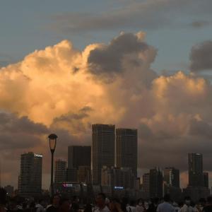 游荡在这喧嚣的闹市中 追随着希望与自由