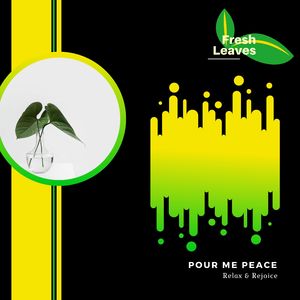 Pour Me Peace Portion