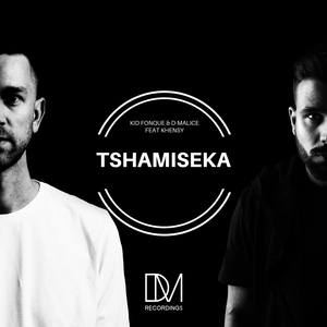 Tshamiseka (Instrumental)