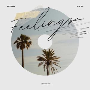 Feelings (feat. HUNC3Y)