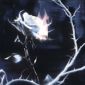 Shadowlands