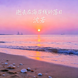 逝去在海岸线的落日
