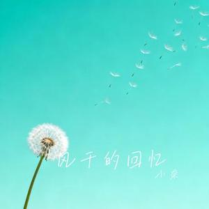 风干的回忆