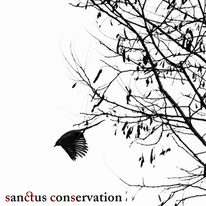 How I Hate Everyone