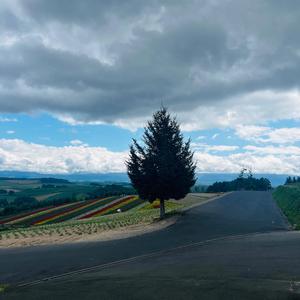 지금(Untamed Freedom)