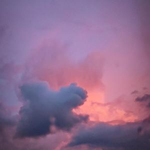 doves