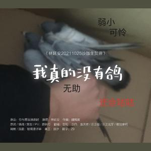 【言和】我真的没有鸽【林延安20201025沙雕生贺曲 适用于任何学生党创作者】