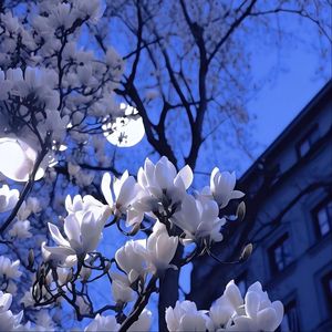 其实我真的什么都没有忘