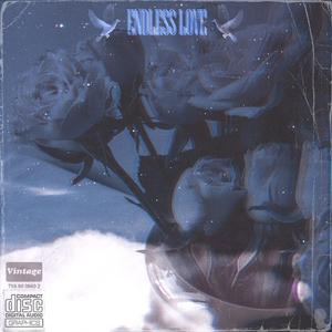 ENDLESS LOVE (SLOWED + REVERB) (feat. wrxckmane & apxche94)