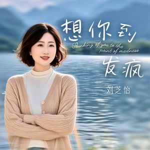 想你到发疯 (DJ李想版)