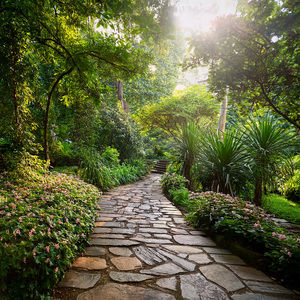 Waves Of Transformation