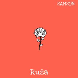 Ruža
