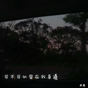可不可以留在我身边