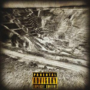 Goldfields