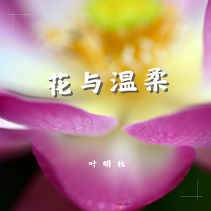 花与温柔 伴奏