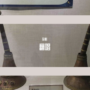 杀死那个石家庄人