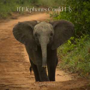 If Elephants Could Fly