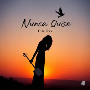 Nunca Quise