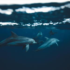 guilty （prod.CHXX）