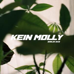 Kein Molly