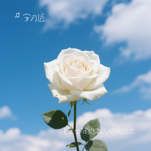 不要让世界的悲哀成为你的悲哀