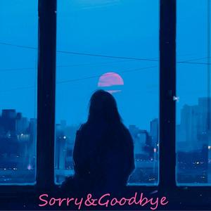 Sorry&Goodbye