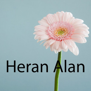 Heran Alan