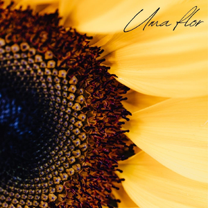 Passarinho (feat. Rodolfo Minari)