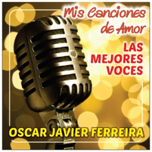No He Podido Olvidarte