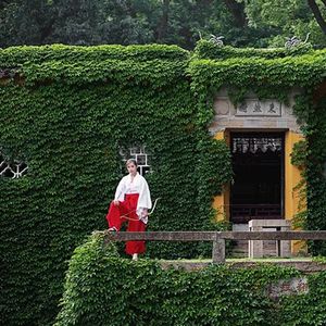 少年锦时
