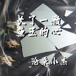 长了一颗黛玉的心
