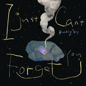 I Just Can't Forget You