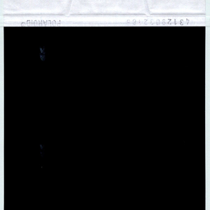 asdf