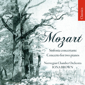Sinfonia concertante in E-Flat Major, K. 364: II. Andante