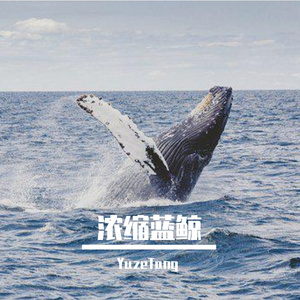 浓缩蓝鲸（女声版）