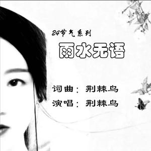 雨水无语