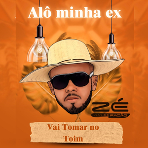Alô Minha Ex Vai Tomar no Toim