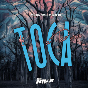 DJ Toca a Pura