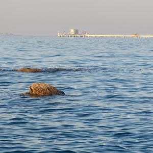 メリーゴーランド