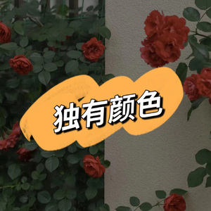独有颜色