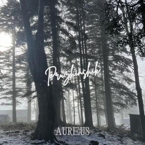 Aureus