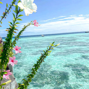 音频提取_111226_track1