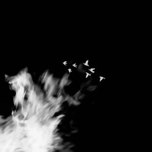 我唯一青春里的路人