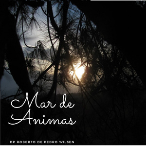 Para Aime