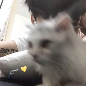 C.HØPE-沉沦与遐想rap（改编）（陈世豪 remix）