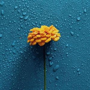 kiitos (feat. Roger_kangaroo & Spuk)